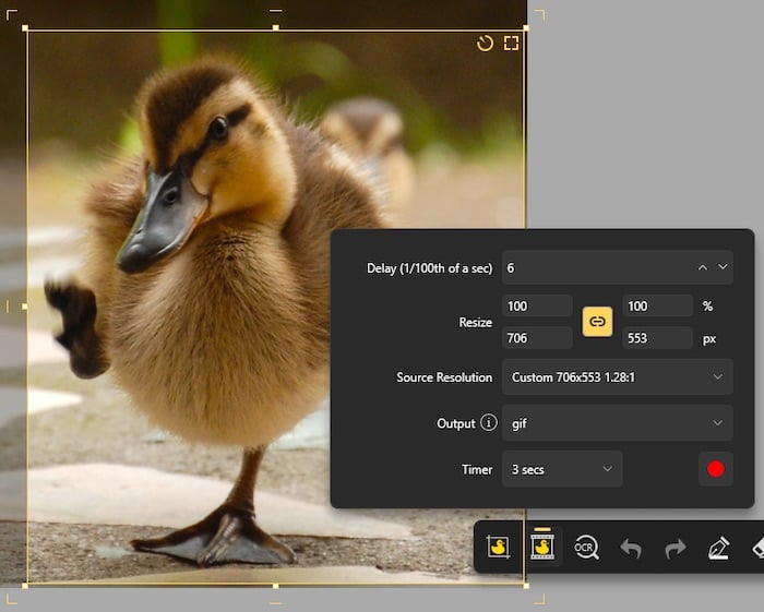 duckshot screenshot app windows