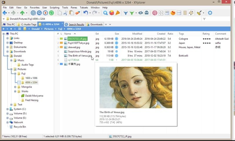 xyplorer- file manager for windows 